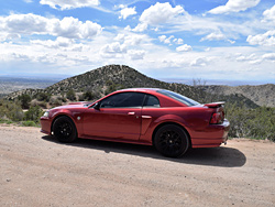 Mustang - Lorenzo Montaño - Albuquerque, New Mexico